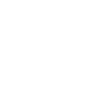 SmartHome Dehumidifier